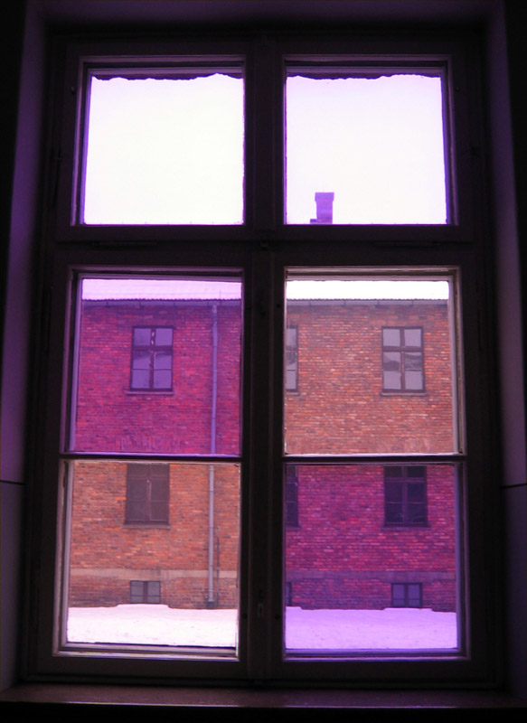Auschwitz Window