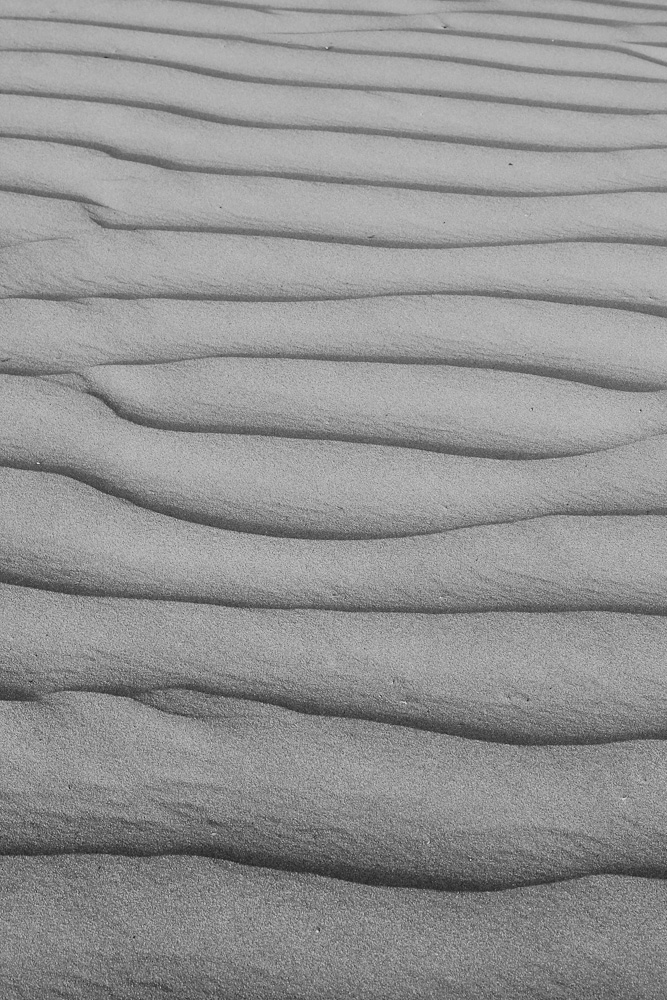 Sand Dune
