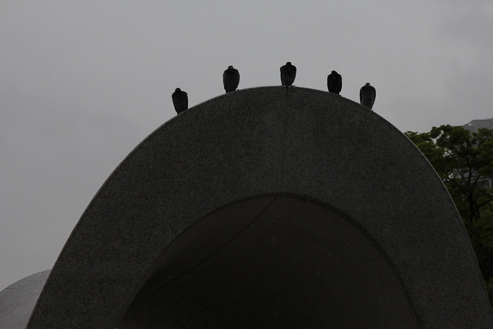Peace Memorial Park Pigeons