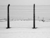 Auschwitz in winter